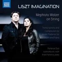 Liszt Imagination Top Pick
