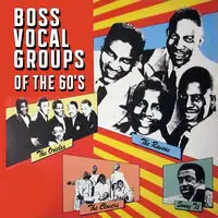 Best Seller Boss Vocal Groups of the 60s ( Various)