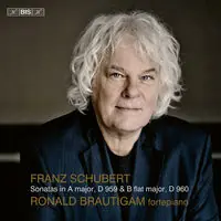 Popular Piano Sonatas, D 959 & D 960 (Hybr)