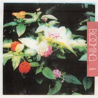 Blooming Budget