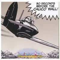 30 Seconds Before The Calico Wall Buy Direct