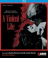 Violent Life (Una Vita Violenta) / (Sub) Fan Favorite