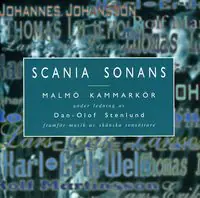 Sale Scania Sonans