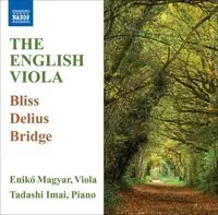 English Viola Affordable