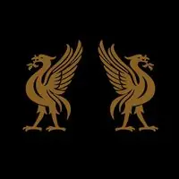 In Demand Liverbirds