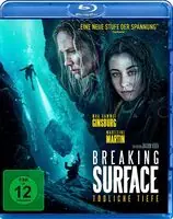 Breaking Surface Budget