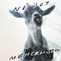 Motherhood (Neon Violet Vinyl) [Colored Vinyl] Editor’s Pick