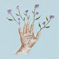 Premium Crocus
