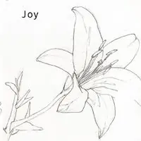 Joy Buy Online