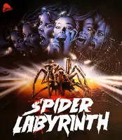 Trending Spider Labyrinth