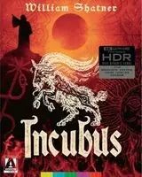 Editor’s Pick Incubus