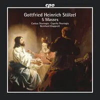5 Masses Best Price
