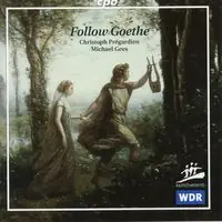 Mega Sale Follow Goethe