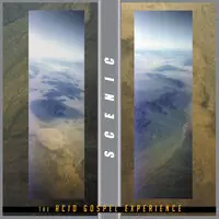Acid Gospel Experience [Clear Vinyl] (Grn) [Record Store Day] Price Cut
