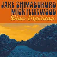 Save Now Blues Experience [180 Gram]