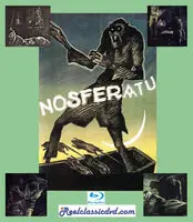 New Release Nosferatu And Terror Of Dracula / (Mod)