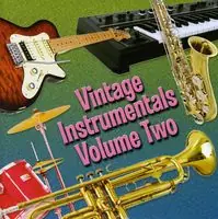 Vintage Instrumentals Vol. 2 Hassle-Free Returns
