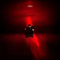 Shop Now Red Room