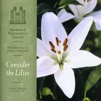 Consider the Lilies Affordable