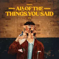 Factory Price All The Things You Said [Colored Vinyl]