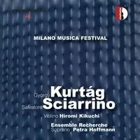 Holiday Sale Milan Music Festival Live 4