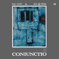 Buy Today Coniunctio