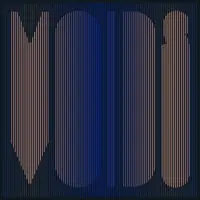 Final Sale Voids [Vinyl]