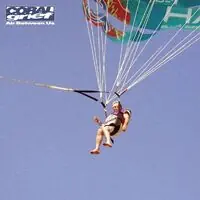 Next Day Delivery Air Between Us