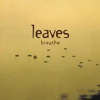 Certified Breathe [Import]