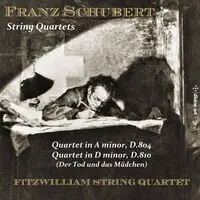 Time-Limited String Quartets