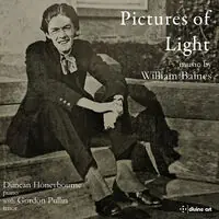 Warranty Included Pictures Of Light