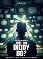 Holiday Sale What Did Diddy Do?