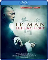 Seasonal Sale IP Man: The Final Fight