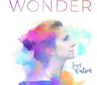 Budget Wonder
