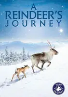 Fresh Stock Reindeers Journey