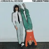 Dream Is All We Know - Ice Cream [Colored Vinyl] Free Shipping