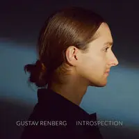 Introspection Modern