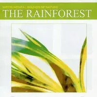 Time-Limited The Rainforest