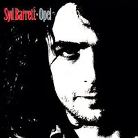 Warranty Included Opel [Vinyl]
