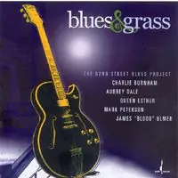 Blues and Grass: The 52nd Street Blues Project Authentic