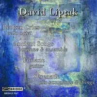 Music of David Liptak Free Delivery