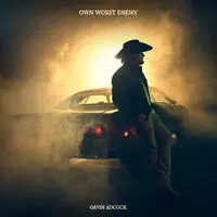 Own Worst Enemy Free Shipping