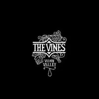 Save Now Vision Valley