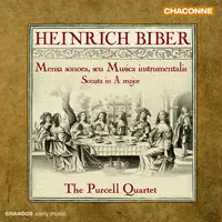 Mensa Sonoroa Seu Musica Instrumentalis: Sonata in Secure Checkout