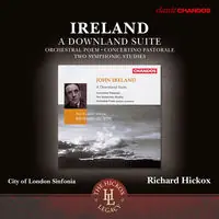 Holiday Sale Ireland: Downland Suite