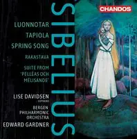 Big Sale Orchestral Works (Hybr)