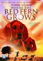 Authentic Where the Red Fern Grows