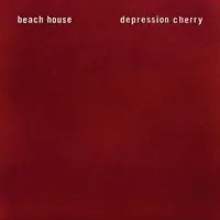 Save Now Depression Cherry [Vinyl]