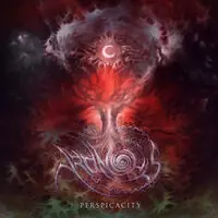 Perspicacity Final Sale