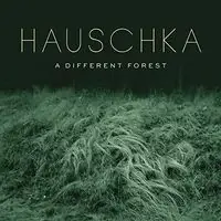 Certified Different Forest